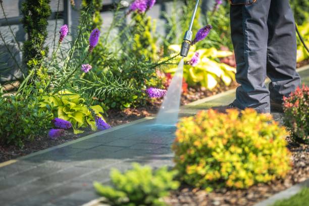 Best Spring Cleaning  in Avalon, NJ